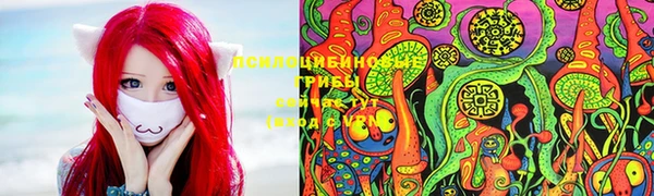 трава Кинешма